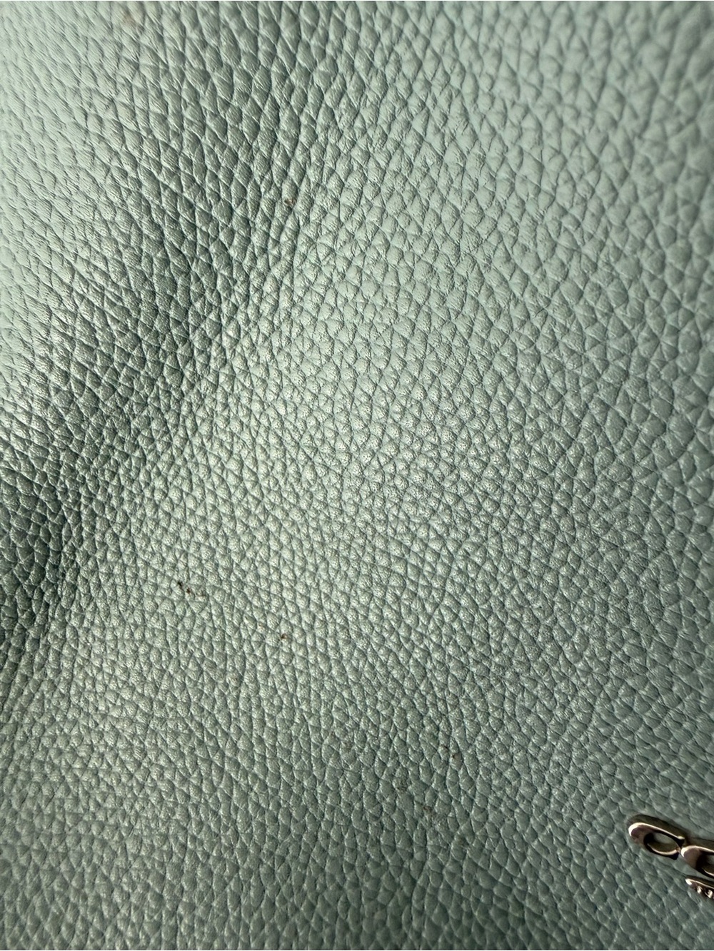 Coach Edie 31 Pebbled Leather Shoulder Bag - Picture 9 of 12